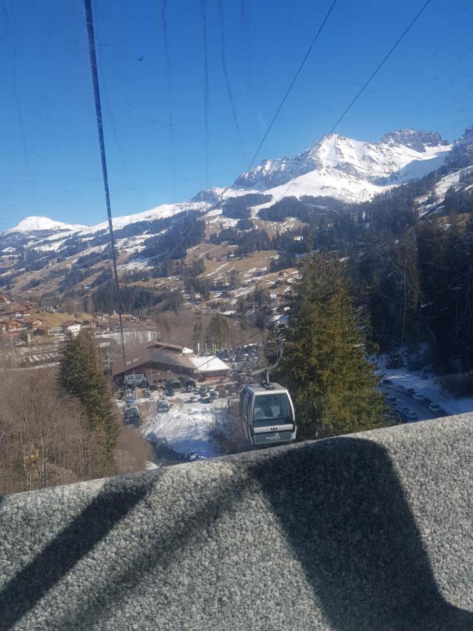 Chalet Grueneggli Adelboden Ngoại thất bức ảnh