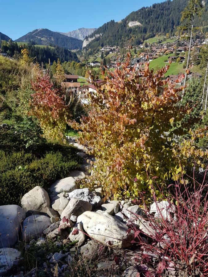 Chalet Grueneggli Adelboden Ngoại thất bức ảnh